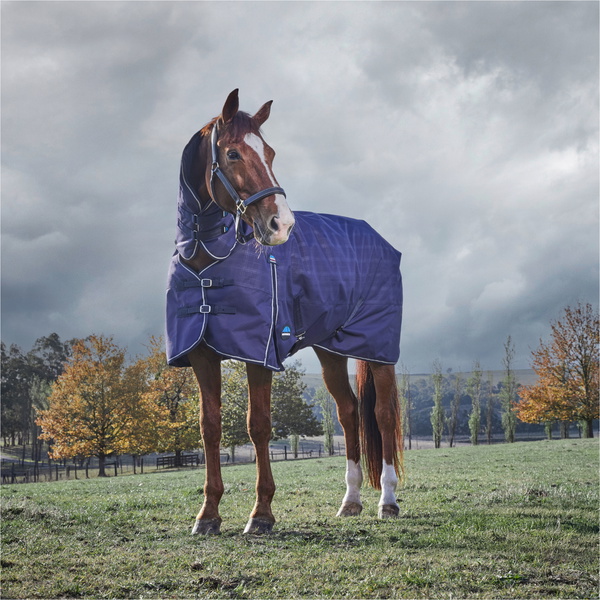 2025 Weatherbeeta Comfitec Préliminaire Turnout Combo 220G 1029030 - Navy Embossed Plaid